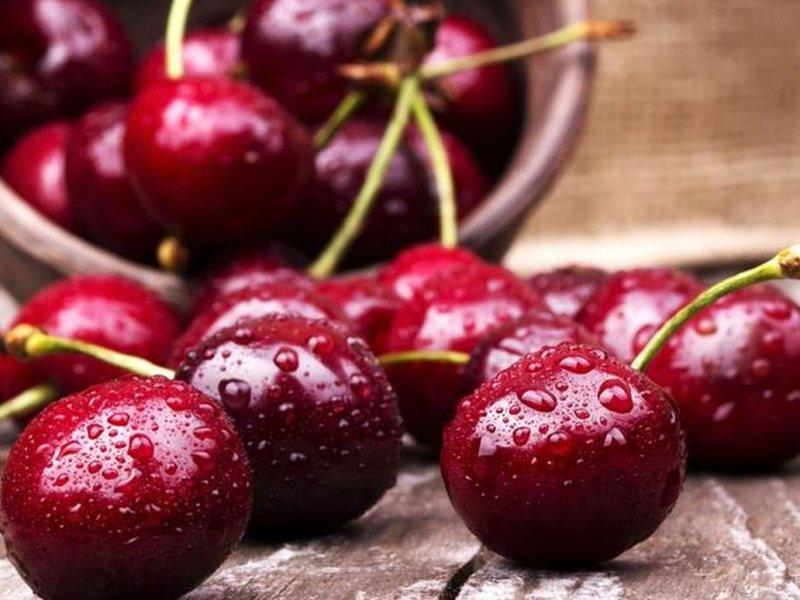 Вишня купить саженцы из питомника в Будённовске